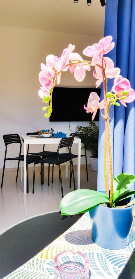 Las Rosas  Ke Casetta Tenerife Salvador And Santiago Apartments מראה חיצוני תמונה